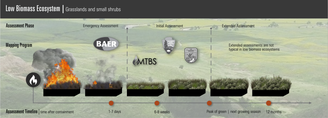MTBS Timeline for Low Biomass